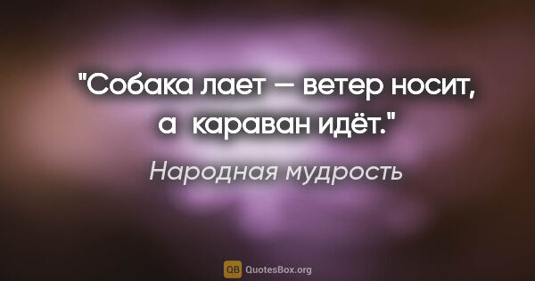 Народная мудрость цитата: "Собака лает — ветер носит, а караван идёт."