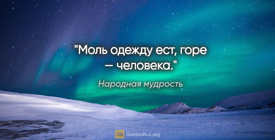 Народная мудрость цитата: "Моль одежду ест, горе — человека."