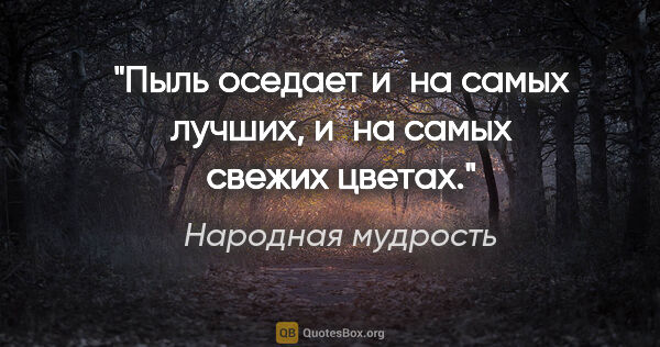 Народная мудрость цитата: "Пыль оседает и на самых лучших, и на самых свежих цветах."