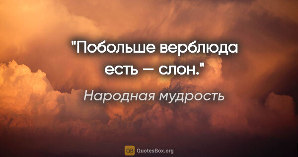 Народная мудрость цитата: "Побольше верблюда есть — слон."