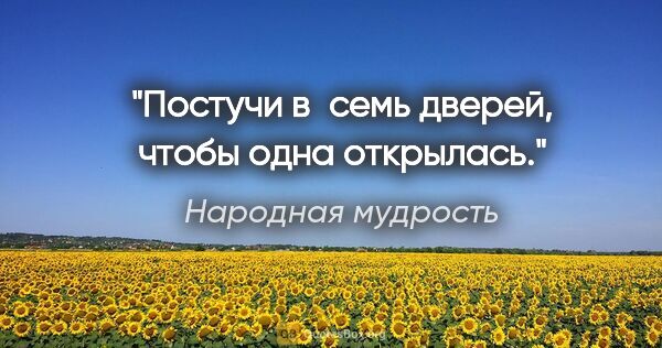 Народная мудрость цитата: "Постучи в семь дверей, чтобы одна открылась."