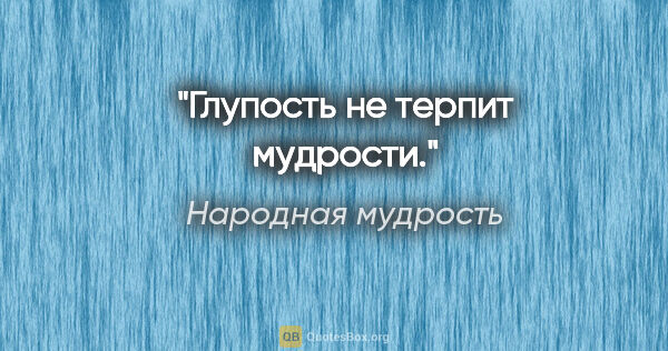 Народная мудрость цитата: "Глупость не терпит мудрости."