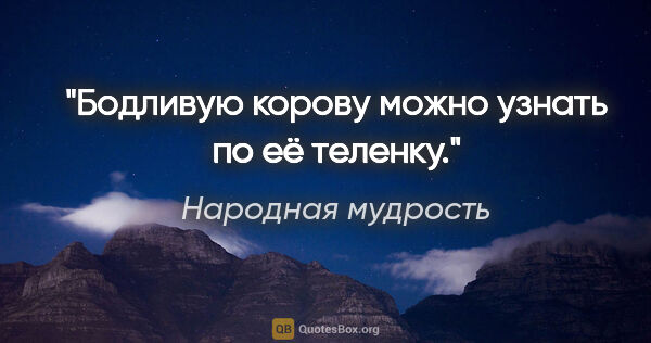 Народная мудрость цитата: "Бодливую корову можно узнать по её теленку."