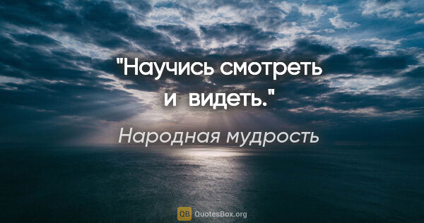 Народная мудрость цитата: "Научись смотреть и видеть."