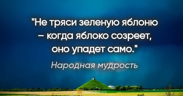 Народная мудрость цитата: "Не тряси зеленую яблоню – когда яблоко созреет, оно упадет само."