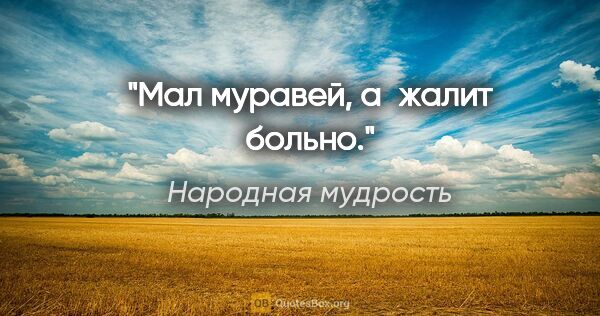 Народная мудрость цитата: "Мал муравей, а жалит больно."