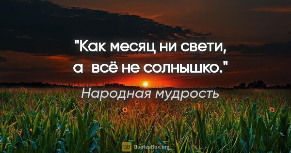 Народная мудрость цитата: "Как месяц ни свети, а всё не солнышко."