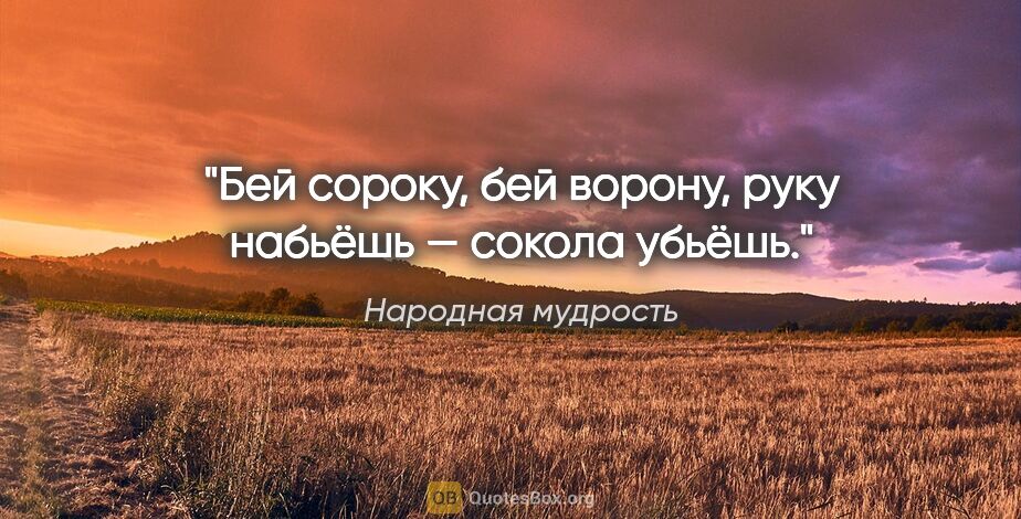 Народная мудрость цитата: "Бей сороку, бей ворону, руку набьёшь — сокола убьёшь."