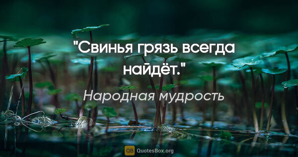 Народная мудрость цитата: "Свинья грязь всегда найдёт."