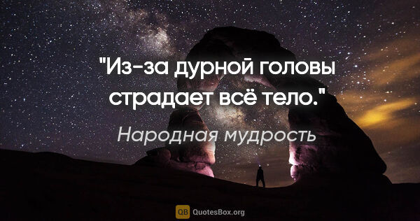 Народная мудрость цитата: "Из-за дурной головы страдает всё тело."