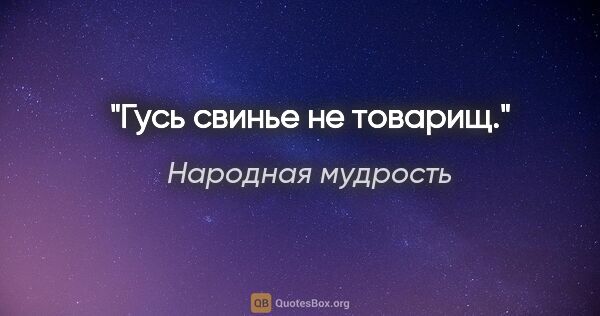 Народная мудрость цитата: "Гусь свинье не товарищ."