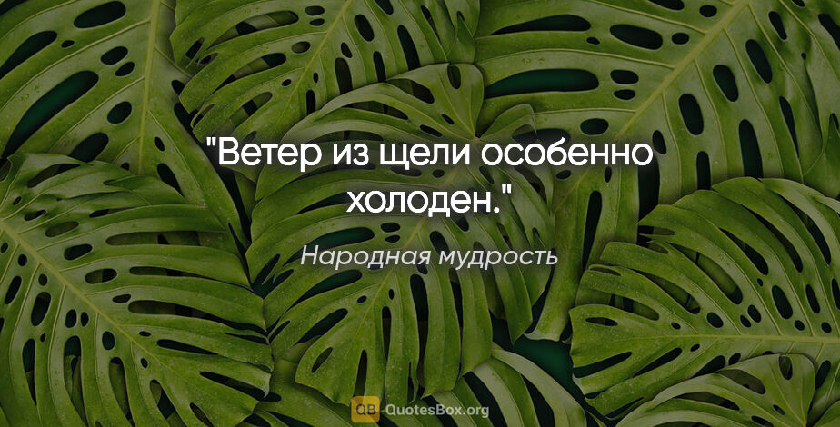 Народная мудрость цитата: "Ветер из щели особенно холоден."