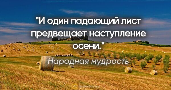 Народная мудрость цитата: "И один падающий лист предвещает наступление осени."