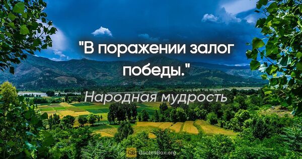 Народная мудрость цитата: "В поражении залог победы."