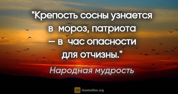 Народная мудрость цитата: "Крепость сосны узнается в мороз, патриота — в час опасности..."