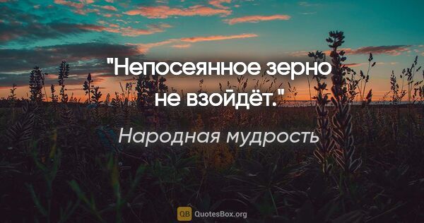 Народная мудрость цитата: "Непосеянное зерно не взойдёт."