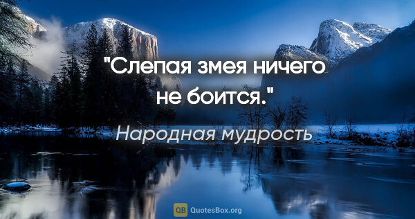 Народная мудрость цитата: "Слепая змея ничего не боится."