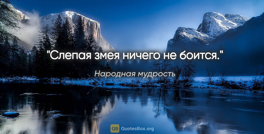 Народная мудрость цитата: "Слепая змея ничего не боится."