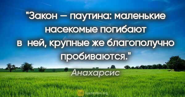 Анахарсис цитата: "Закон — паутина: маленькие насекомые погибают в ней, крупные..."