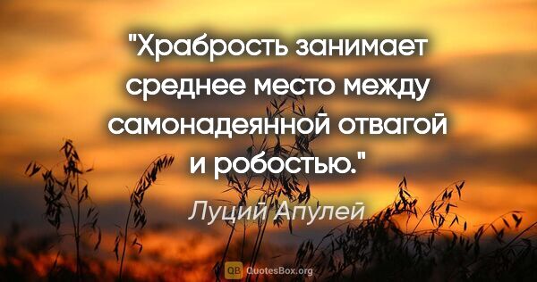 Луций Апулей цитата: "Храбрость занимает среднее место между самонадеянной отвагой..."