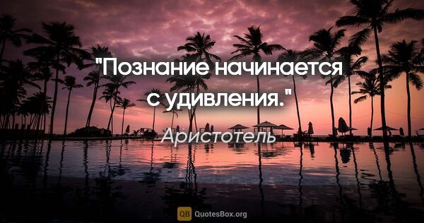 Аристотель цитата: "Познание начинается с удивления."