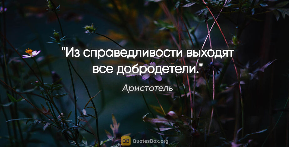 Аристотель цитата: "Из справедливости выходят все добродетели."