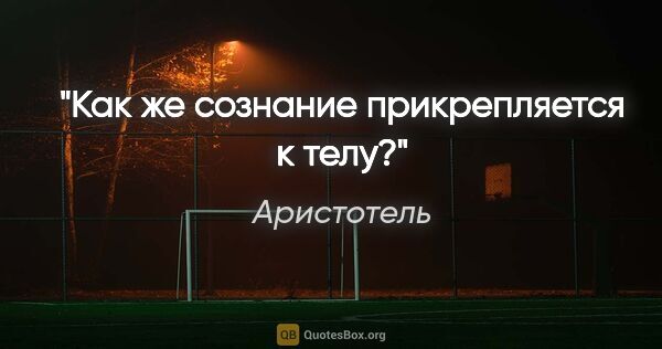 Аристотель цитата: "Как же сознание прикрепляется к телу?"