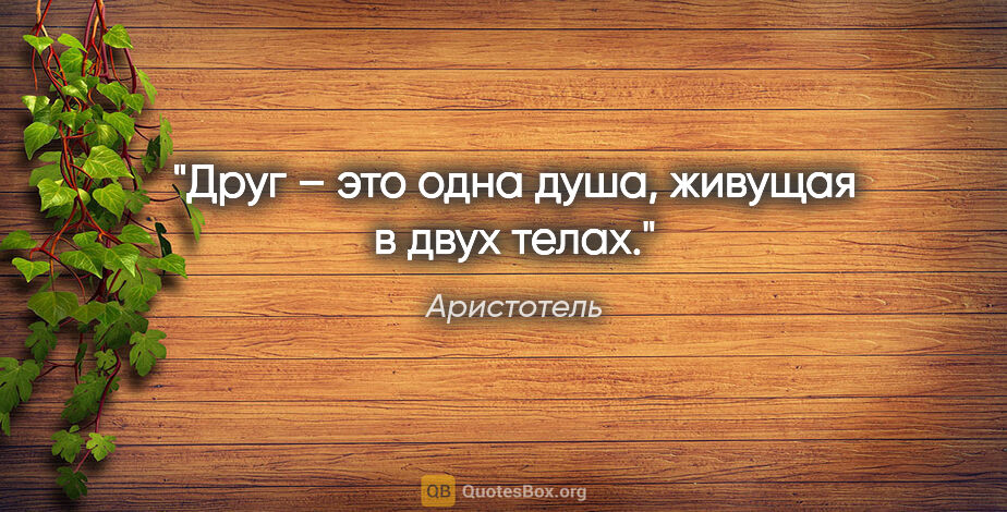 Аристотель цитата: "Друг – это одна душа, живущая в двух телах."