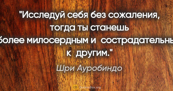 Шри Ауробиндо цитата: "Исследуй себя без сожаления, тогда ты станешь более..."