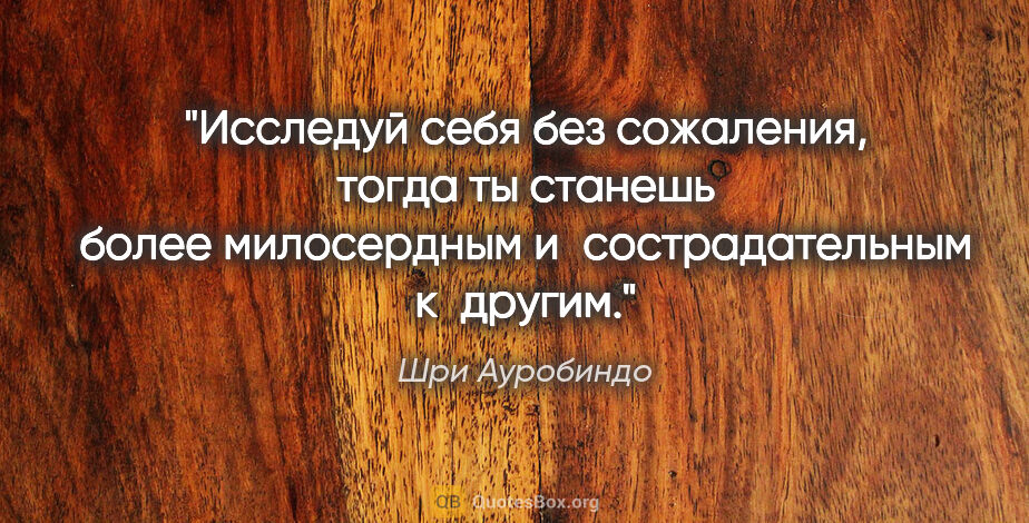 Шри Ауробиндо цитата: "Исследуй себя без сожаления, тогда ты станешь более..."