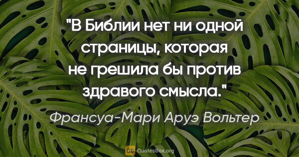 Франсуа-Мари Аруэ Вольтер цитата: "В Библии нет ни одной страницы, которая не грешила бы против..."