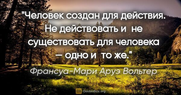 Франсуа-Мари Аруэ Вольтер цитата: "Человек создан для действия. Не действовать и не существовать..."