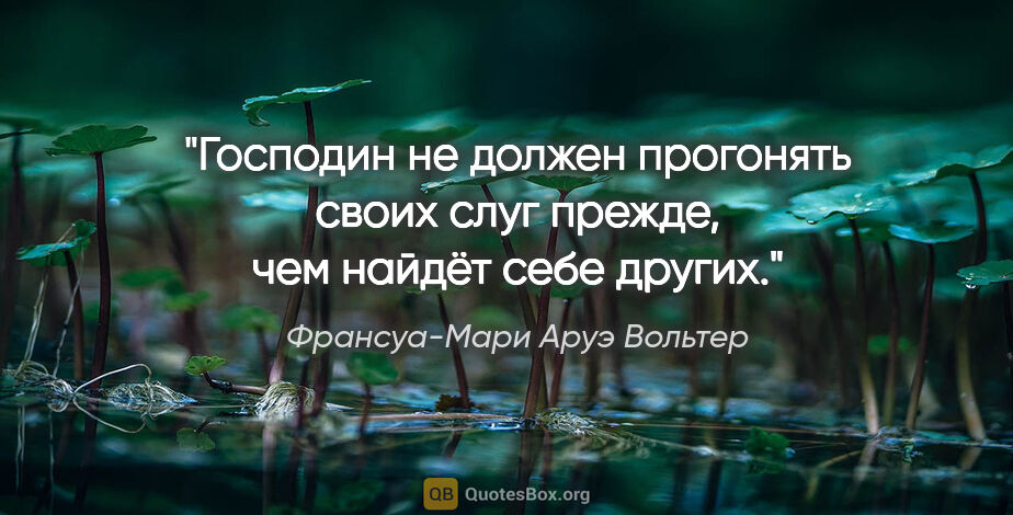 Франсуа-Мари Аруэ Вольтер цитата: "Господин не должен прогонять своих слуг прежде, чем найдёт..."