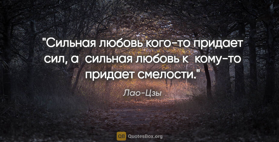 Лао-Цзы цитата: "Сильная любовь кого-то придает сил, а сильная любовь к кому-то..."