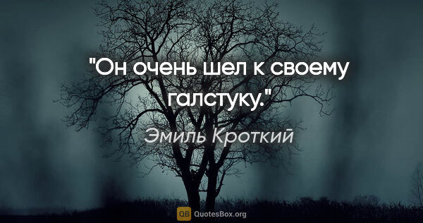 Эмиль Кроткий цитата: "Он очень шел к своему галстуку."