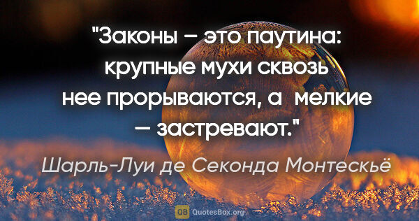 Шарль-Луи де Секонда Монтескьё цитата: "Законы – это паутина: крупные мухи сквозь нее прорываются,..."