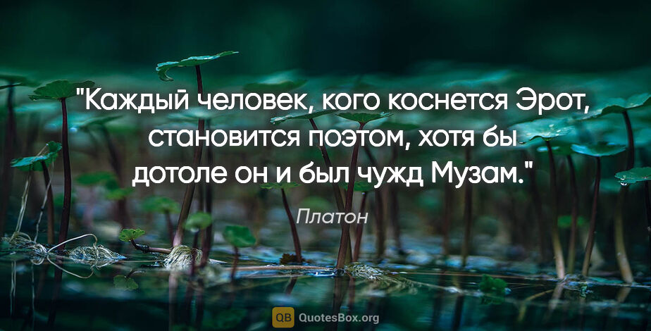 Платон цитата: "Каждый человек, кого коснется Эрот, становится поэтом, хотя бы..."