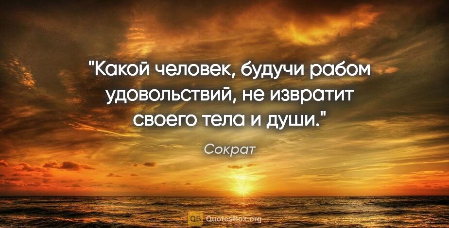 Сократ цитата: "Какой человек, будучи рабом удовольствий, не извратит своего..."