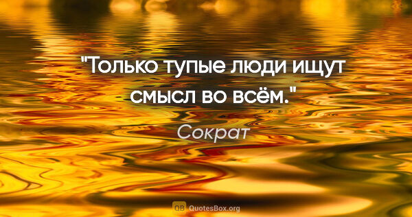 Сократ цитата: "Только тупые люди ищут смысл во всём."