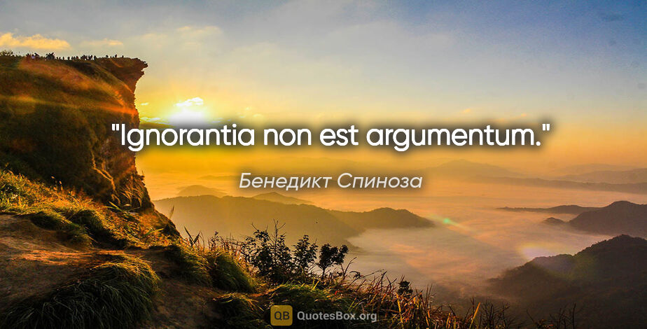 Бенедикт Спиноза цитата: "Ignorantia nоn est argumentum."
