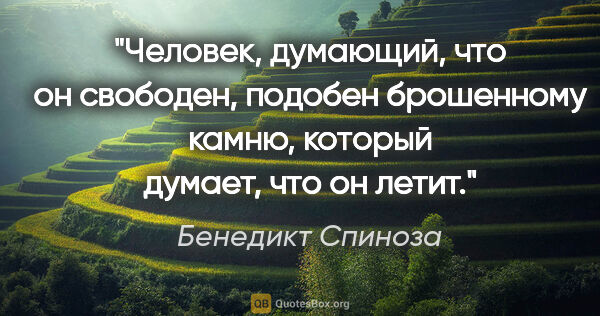 Бенедикт Спиноза цитата: "Человек, думающий, что он свободен, подобен брошенному камню,..."