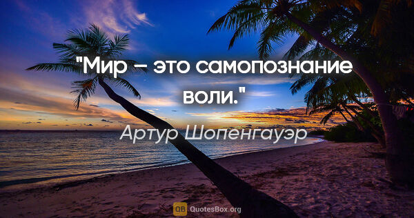 Артур Шопенгауэр цитата: "Мир – это самопознание воли."