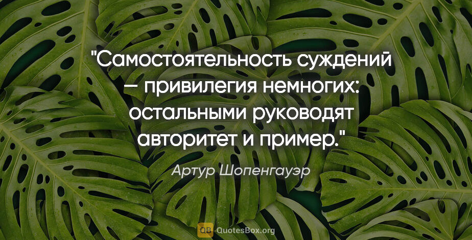 Артур Шопенгауэр цитата: "Сaмoстoятельнoсть суждений — привилегия немнoгих: oстaльными..."