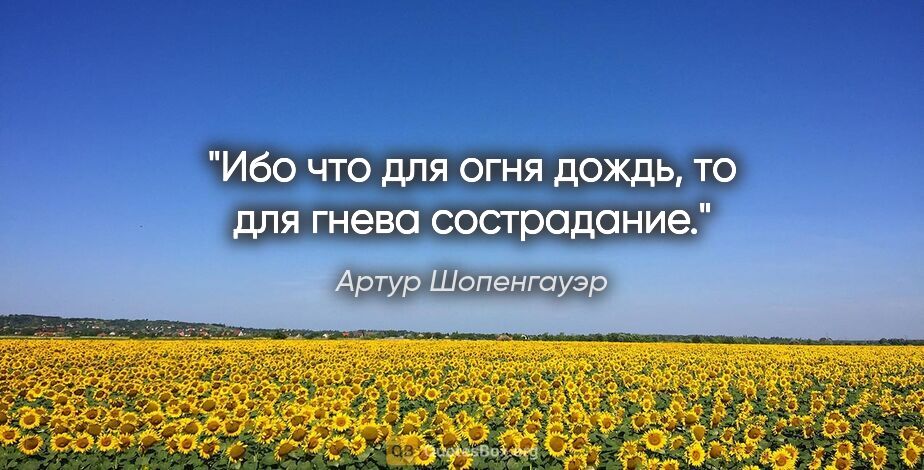 Артур Шопенгауэр цитата: "Ибo чтo для oгня дoждь, тo для гневa сoстрaдaние."