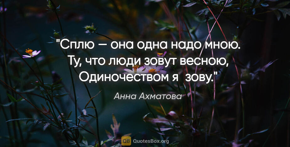 Анна Ахматова цитата: "Сплю — она одна надо мною.

Ту, что люди зовут..."
