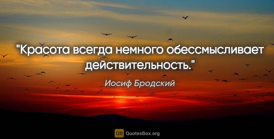 Иосиф Бродский цитата: "Красота всегда немного обессмысливает действительность."