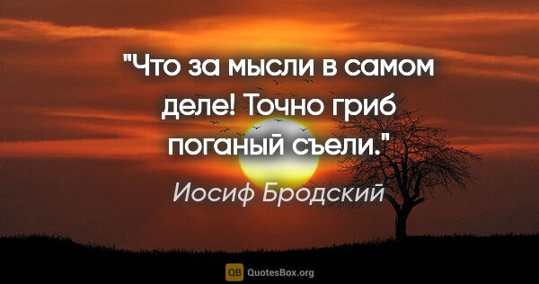 Иосиф Бродский цитата: "Что за мысли в самом деле!

Точно гриб поганый съели."