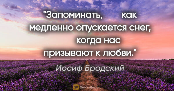 Иосиф Бродский цитата: "Запоминать,

       как медленно опускается снег,

      ..."