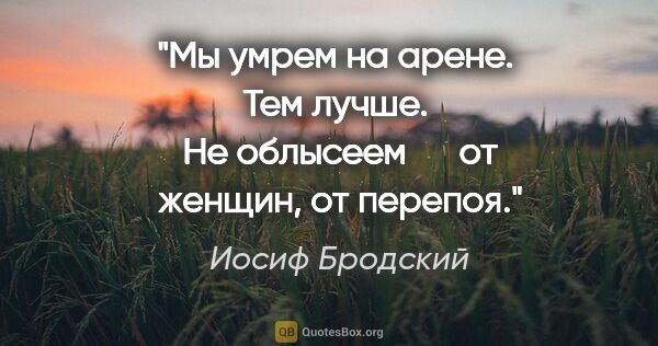 Иосиф Бродский цитата: "Мы умрем на арене.

     Тем лучше.

     Не облысеем

     от..."