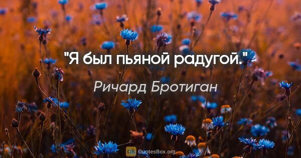 Ричард Бротиган цитата: "Я

был

пьяной

радугой."